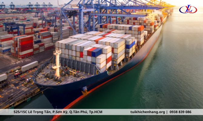 Cẩm nang kinh doanh chuyển khẩu hàng hóa (1)