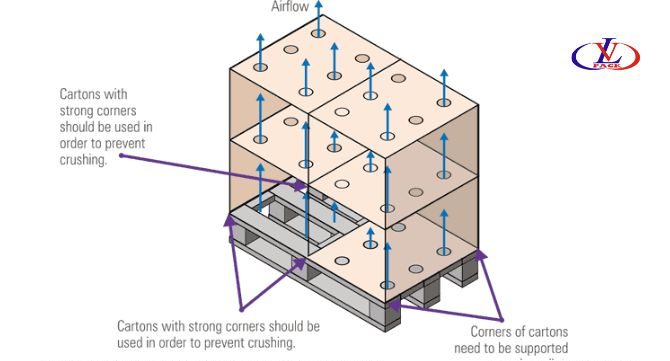 cách đóng hàng vào container lạnh hàng lạnh