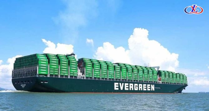 Evergreen Marine công ty vận tải đường biển quốc tế ở HCM (4)