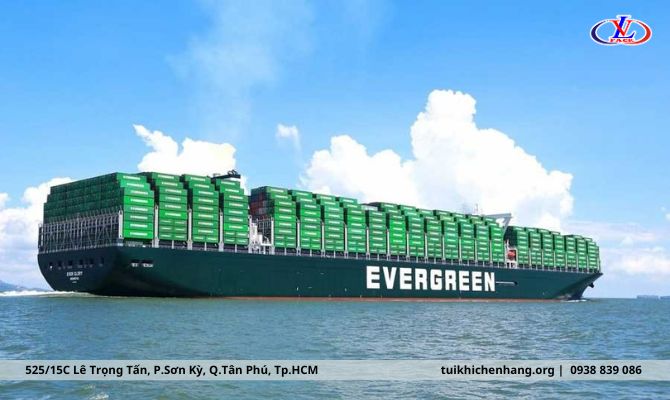 Evergreen Marine công ty vận tải đường biển quốc tế ở HCM (4)