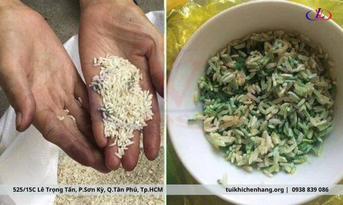 Gạo Việt Nam xuất khẩu bị ẩm mốc
