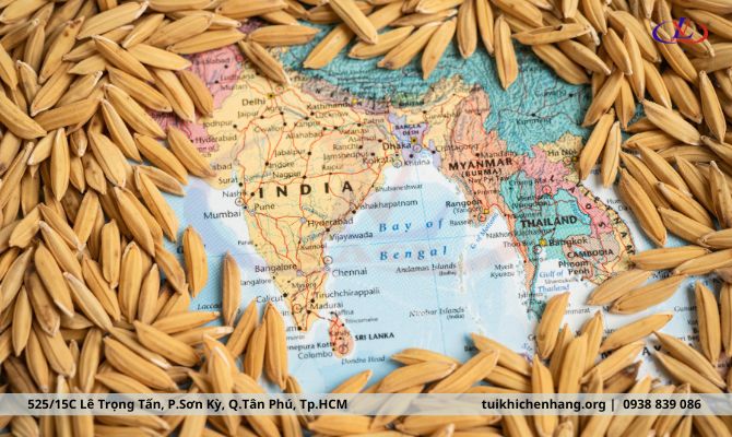 Xuất khẩu lúa gạo Việt Nam 2023 - 2024: các cơn sốt giá liệu có tiếp diễn?