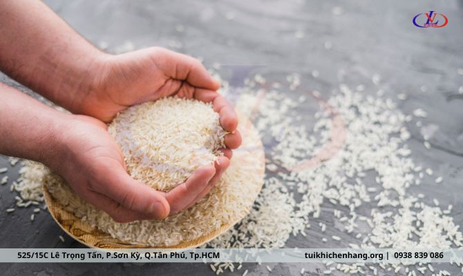 việt nam xuất khẩu lúa gạo 945623